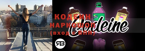 индика Беломорск