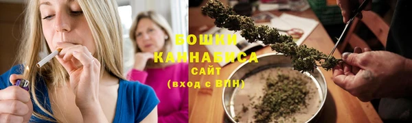 крисы Белоозёрский