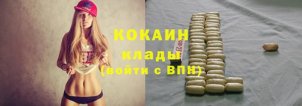 индика Беломорск