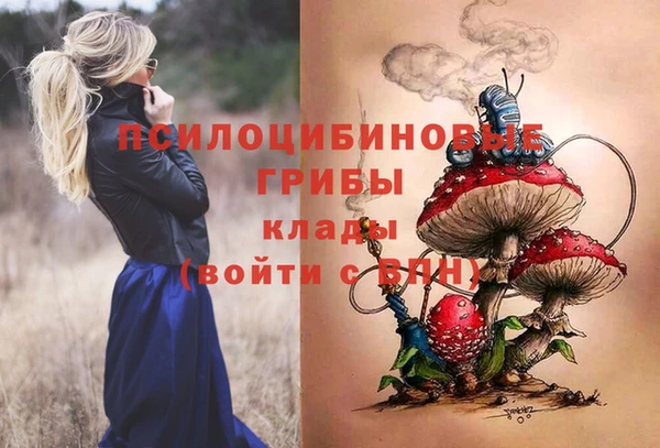 индика Беломорск