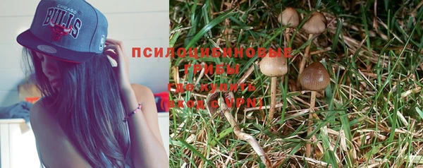 индика Беломорск