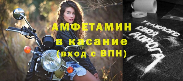 индика Беломорск