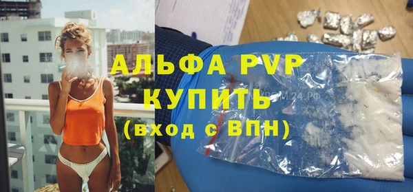 индика Беломорск