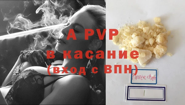 индика Беломорск